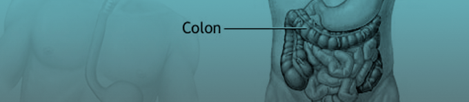 Colon Care Chandler